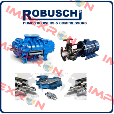 DN 200-300 11895  Robuschi