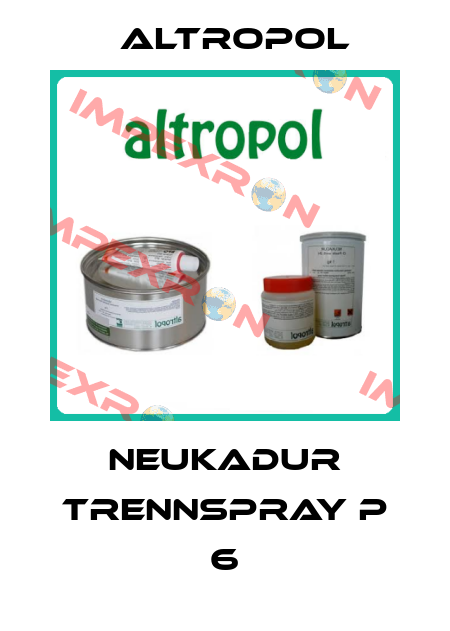 NEUKADUR Trennspray P 6 Altropol