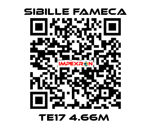 TE17 4.66M  Sibille Fameca