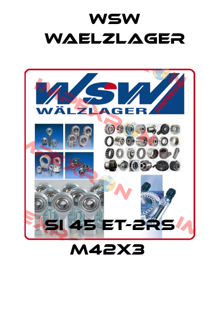 SI 45 ET-2RS M42x3  WSW Waelzlager
