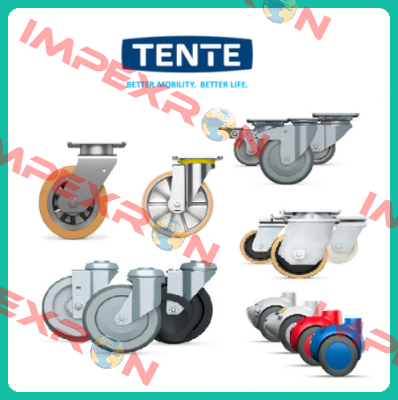 9958FTP150P65 (Teilenummer: 00806805-GS) Tente