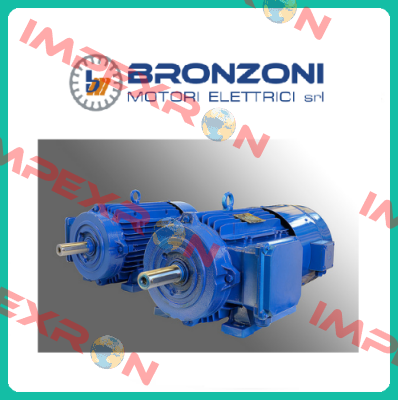 552370 Bronzoni