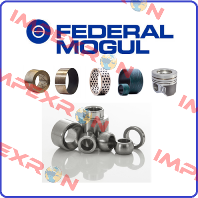 104961  Federal Mogul