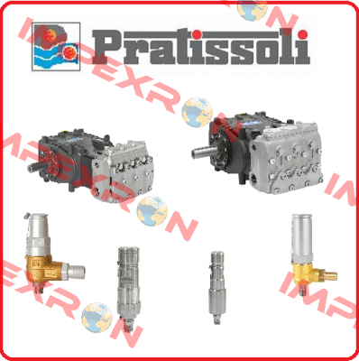 VRET3060101A ITEM NO:5  Pratissoli