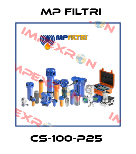 CS-100-P25  MP Filtri