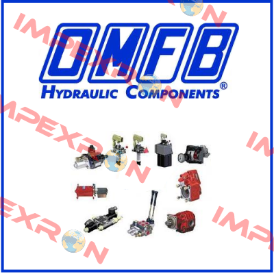 11400011818 OMFB Hydraulic