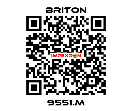 9551.M BRITON