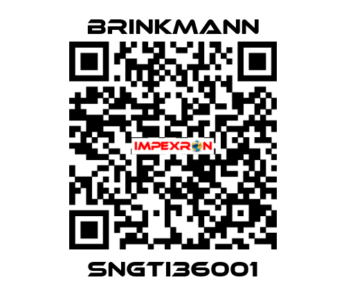 SNGTI36001 Brinkmann