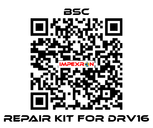 repair kit for DRV16 BSC