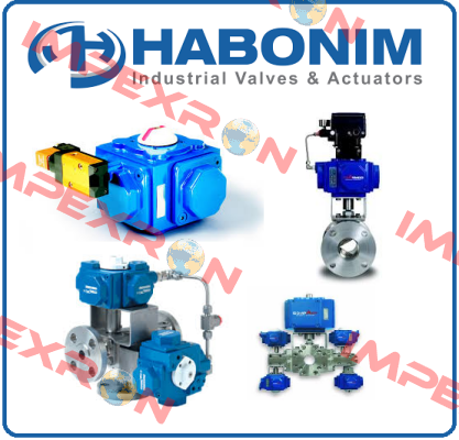 02 FH29W-66MMLHG/BSPP Habonim