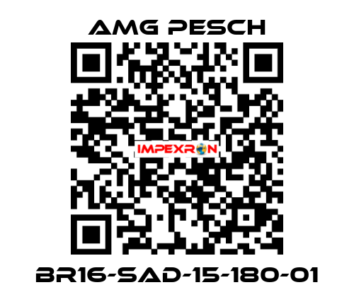 BR16-SAD-15-180-01 AMG Pesch