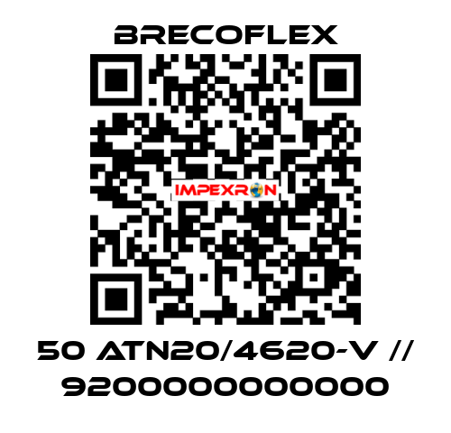 50 ATN20/4620-V // 9200000000000 Brecoflex