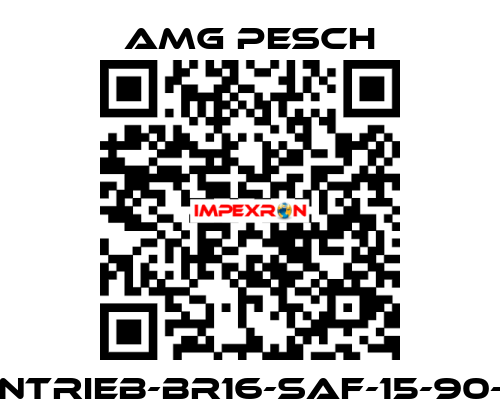 AMG-Antrieb-BR16-SAF-15-90-01-n=12 AMG Pesch