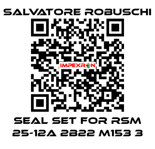 seal set for RSM 25-12A 2B22 M153 3 SALVATORE ROBUSCHI