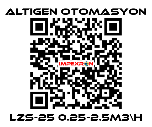 LZS-25 0.25-2.5m3\h Altıgen Otomasyon