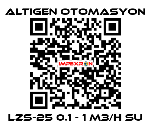 LZS-25 0.1 - 1 M3/H SU Altıgen Otomasyon