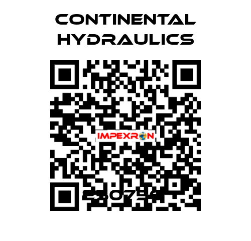 250756  Continental Hydraulics