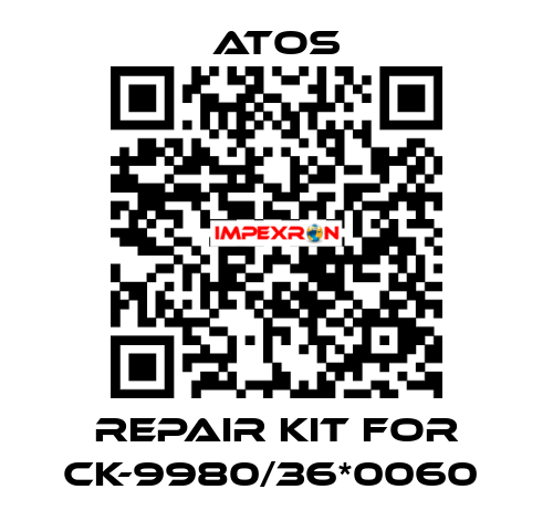 REPAIR KIT FOR CK-9980/36*0060  Atos