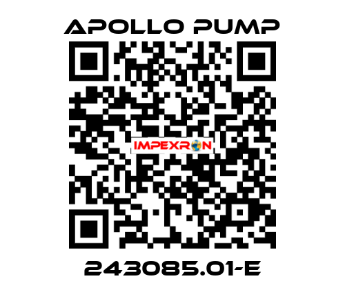 243085.01-E Apollo pump